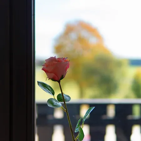 Bayrischen Wald Apartamento