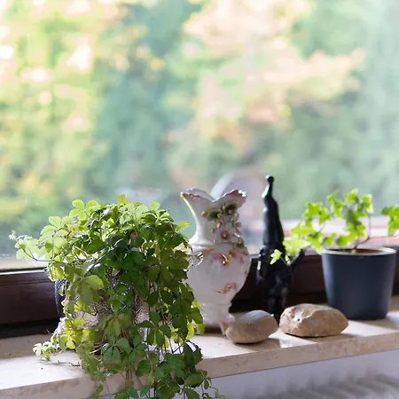 Bayrischen Wald Apartamento