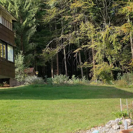 Bayrischen Wald Apartment Wiesenfelden